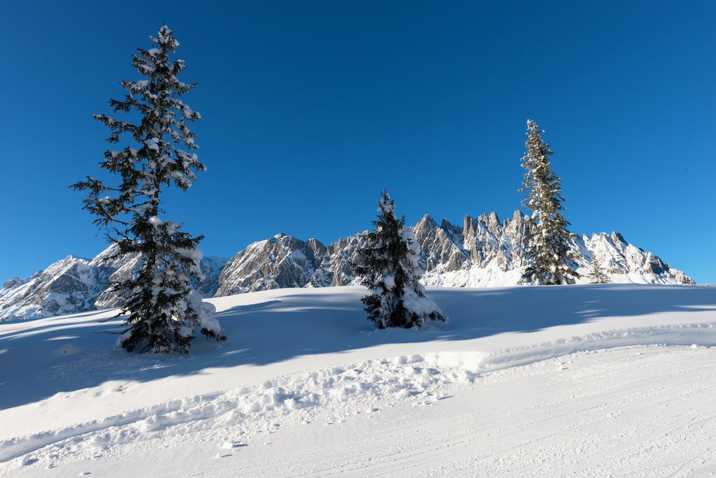 Das Sonneck Mühlbach am Hochkönig Exterior foto